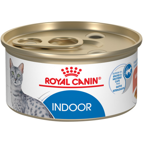 Royal Canin Indoor Adult Morsels In Gravy Wet Cat Food, case of 24, 85g