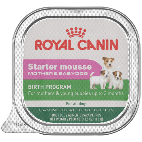 Royal Canin Starter Mousse Tray Dog Food Case of 24,100g