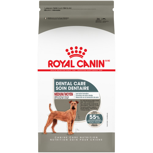 ROYAL CANIN Medium Dental Care Dry Dog Food 12.7KG