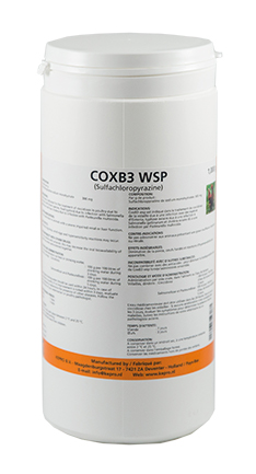 KEPRO COXB3 WSP