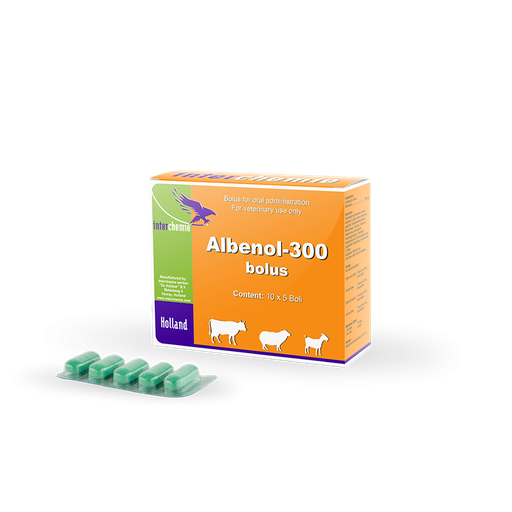 Albenol-300 bolus 300mg