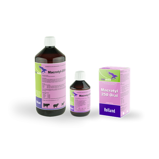 Macrotyl-250 Oral Solution