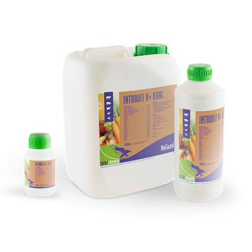 Introvit A+ Oral 1 LTR