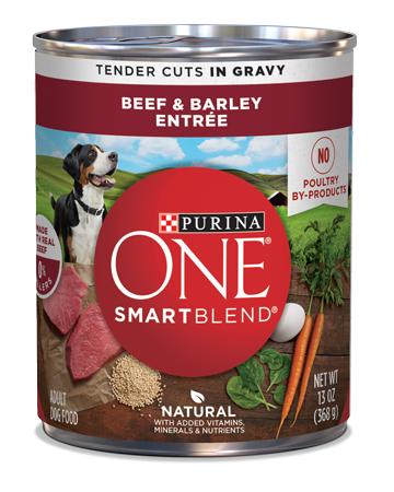 PURINA ONE SmartBlend Beef &amp; Barley Entrée Tender Cuts In Gravy Case of 12 Wet Dog Food 368g