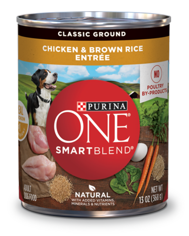 PURINA ONE SmartBlend Chicken &amp; Brown Rice Entrée Classic Ground Case of 12 Wet Dog Food 368g