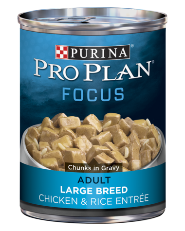 PURINA Pro Plan FOCUS Adult Large Breed Chicken &amp; Rice Entrée Chunks In Gravy Case of 12 Wet Dog Food 368g