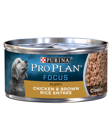 PURINA Pro Plan FOCUS Puppy Chicken &amp; Brown Rice Entrée Classic Case of 24 Wet Dog Food 156g