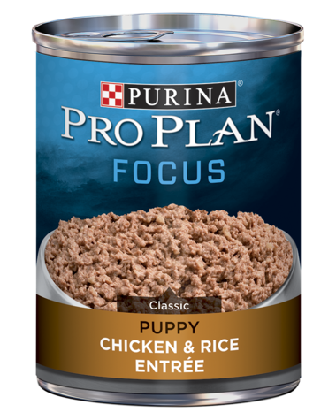 PURINA Pro Plan FOCUS Puppy Chicken &amp; Rice Entrée Classic Case of 12 Wet Dog Food 368g