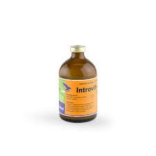 Intracox Oral 1 LTR