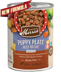 Merrick Grain Free Puppy Plate Beef Case of 12 Wet Puppy Food 360g
