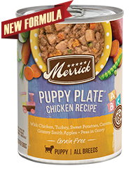 Merrick Grain Free Puppy Plate Chicken Recipe Case of 12 Wet Puppy Food 360g