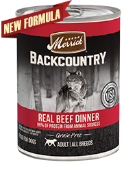 Merrick Backcountry Grain Free 96% Real Beef Dinner Case of 12 Wet Dog Food 360g