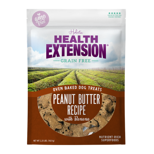 Health Extension Grain-Free Oven Baked Peanut Butter Recipe Dog Treats 1kg