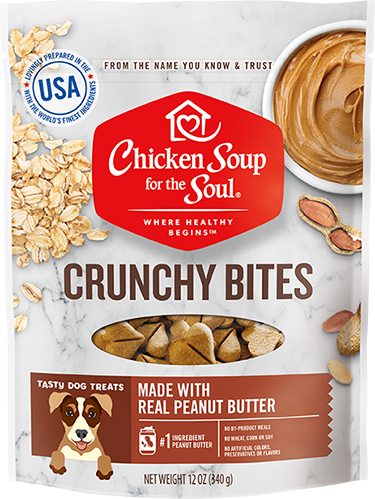 CHICKEN SOUP FOR THE SOUL Crunchy Bites Peanut Butter Dog Treats 340g