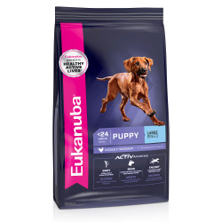 Eukanuba Large Breed Puppy Dry Dog Food 15kg