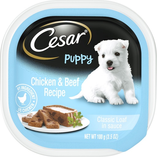 Cesar Puppy Classic Loaf in Sauce Chicken &amp; Beef Recipe Case of 24 Wet Dog Food 100g