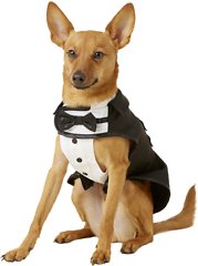 Frisco Formal Dog &amp; Cat Tuxedo, Black, Small