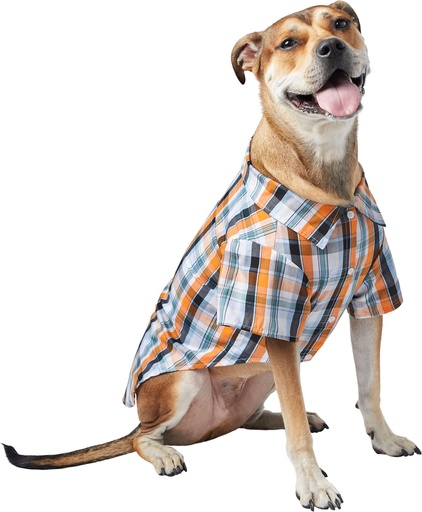 Frisco Plaid Dog &amp; Cat Button Up Shirt, Medium