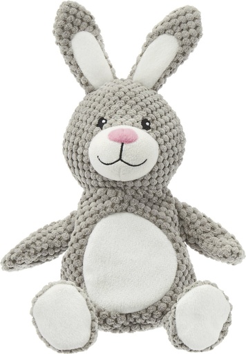 Frisco Textured Plush Squeaking Bunny Dog Toy