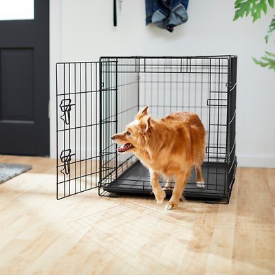 Frisco Fold &amp; Carry Single Door Collapsible Wire Dog Crate, 36 inch