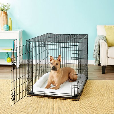 Frisco Fold &amp; Carry Single Door Collapsible Wire Dog Crate, 42 inch