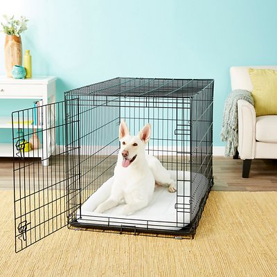 Frisco Fold &amp; Carry Single Door Collapsible Wire Dog Crate, 48 inch