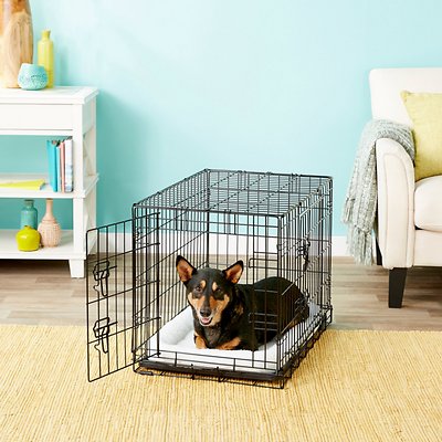 Frisco Fold &amp; Carry Double Door Collapsible Wire Dog Crate, 30 inch, Medium