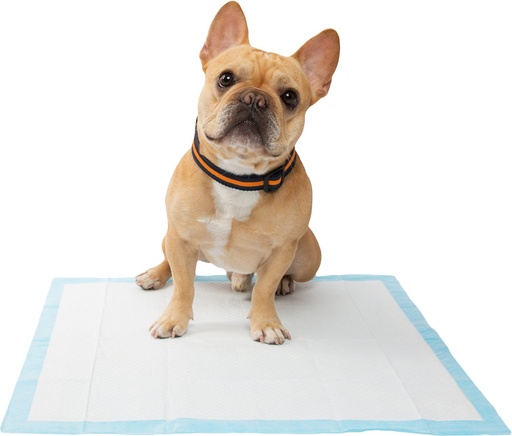 Frisco Dog Unscented 300 Count Training &amp; Potty Pads, 22 x 23-in