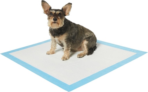 Frisco Unscented 10 Count Extra Large Dog Training &amp; Potty Pads, 28 x 34-in