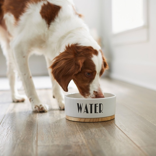 Frisco Ceramic Water Dog &amp; Cat Bowl with Wood Base 567g