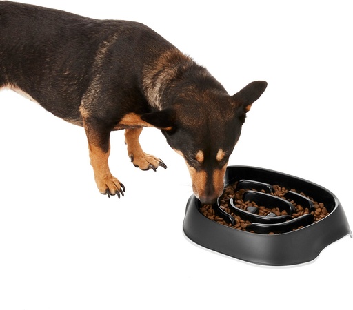 Frisco Non-Skid Slow Feeder Dog &amp; Small Pet Bowl