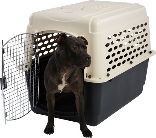 Frisco Plastic Dog &amp; Cat Kennel, Almond &amp; Black, Large