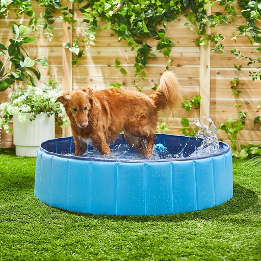 Frisco Outdoor Dog Swimming Pool, Large