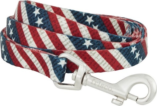 Frisco American Flag Polyester Dog Leash, Small: 6-ft long