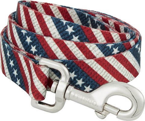 Frisco American Flag Polyester Dog Leash, Large: 6-ft long