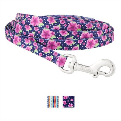 Frisco Patterned Polyester Dog Leash, Midnight Floral, Large: 4-ft long