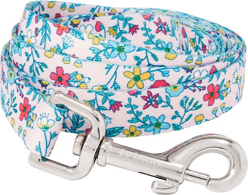 Frisco Spring Floral Polyester Dog Leash, Medium: 6-ft long, 3/4-in wide