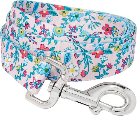 Frisco Spring Floral Polyester Dog Leash, Large: 6-ft long, 1-in wide
