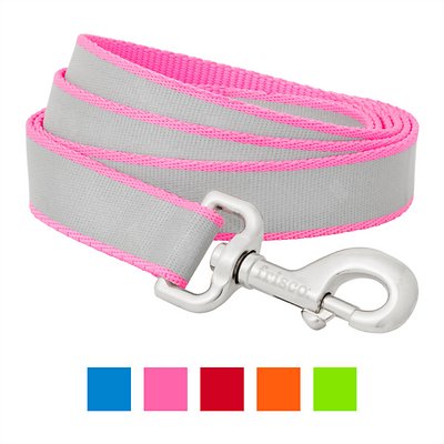 Frisco Solid Polyester Reflective Dog Leash, Pink, Large: 6-ft long, 1-in wide