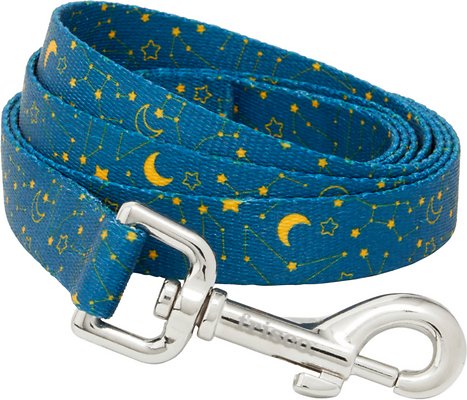 Frisco Constellations Dog Leash, Small: 6-ft Long, 5/8-in Wide