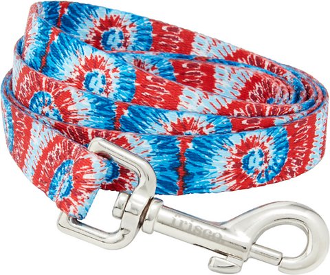 Frisco Blue Tye Dye Dog Leash, Medium: 6-ft Long, 3/4-in Wide
