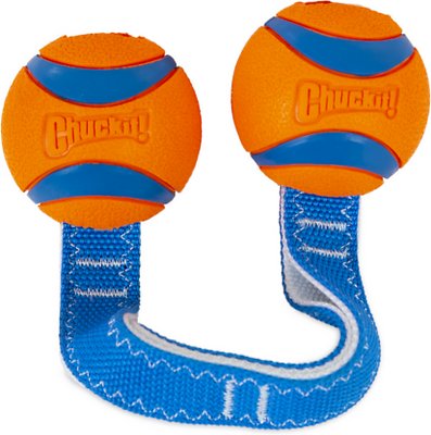 Chuckit! Ultra Duo Tug Tough Dog Toy, Medium