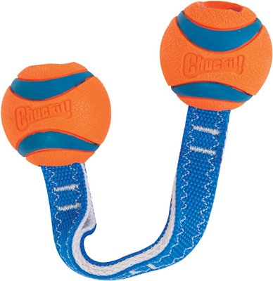 Chuckit! Ultra Duo Tug Tough Dog Toy, Small