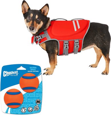 Bundle: Frisco Neoprene Life Jacket + Chuckit! Ultra Rubber Ball Tough Dog Toy, Medium