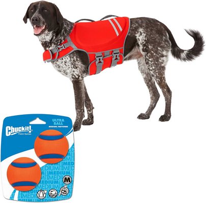 Bundle: Frisco Neoprene Life Jacket + Chuckit! Ultra Rubber Ball Tough Dog Toy, Medium