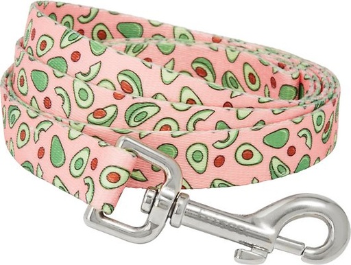 Frisco Avocado Dog Leash, LG - Length: 6-ft, Width: 1-in