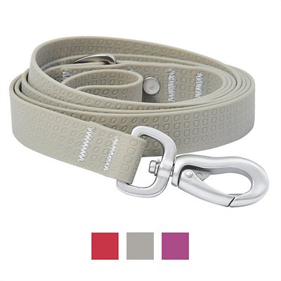 Frisco Outdoor Solid Textured Waterproof Stink Proof PVC Dog Leash, Storm Gray, Medium - Length: 6-ft, Width: 3/4-in